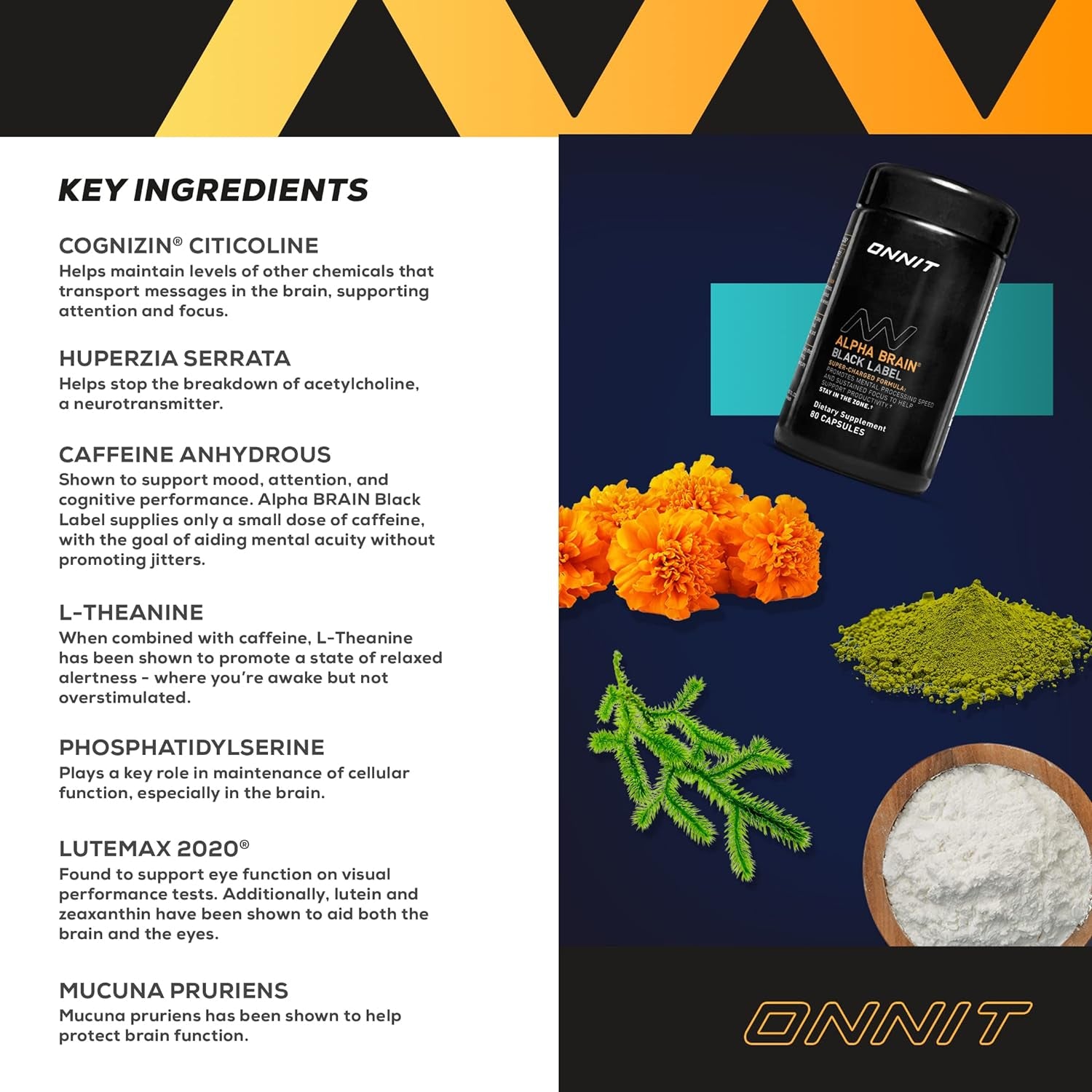 Alpha Brain Black Label Capsule (80Ct) Premium Citicoline Brain Supplement - Focus, Concentration & Memory - Lion'S Mane, Hericium Erinaceus, L Theanine & Mucuna Pruriens